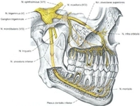 Diş Ağrısı Nasıl Giderilir